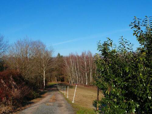 Wanderweg direkt am Haus - 