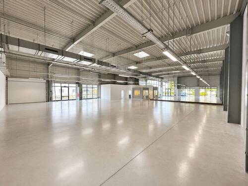 Halle 1 - 