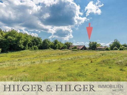 Blick von der Weide - 