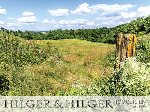 Blick auf die Weide - 