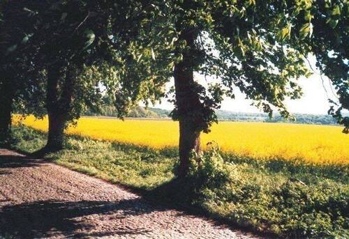 Imagefoto "Insel Rügen" - 