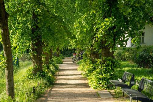 Historischer Dorfkern Buckow - 