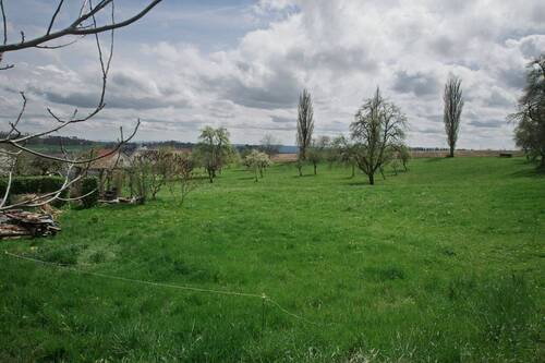 Ausblick - 6 Zimmer Einfamilienhaus in Ühlingen-Birkendorf