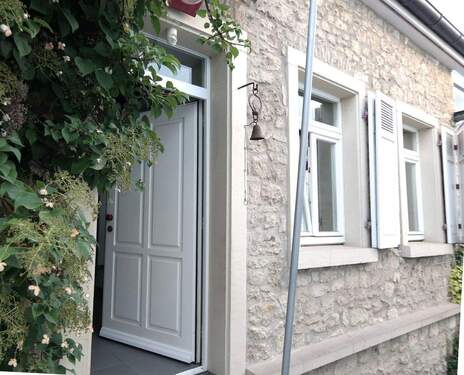 Hauseingang - 4 Zimmer Einfamilienhaus zur Miete in Mainz