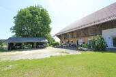 Bild9 - 