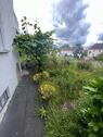 Zugang zum Garten.jpg - 