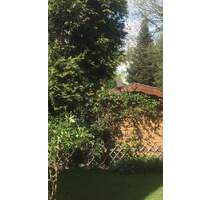 TRAUMHAFTES AMBIENTE FÜR GARTENLIEBHABER - Glinde
