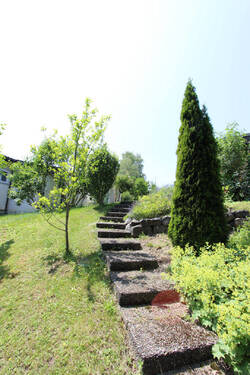 Bild6 - 