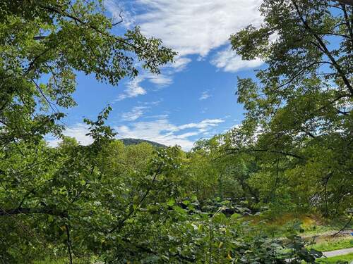 Impression Ausblick - Lichtverwöhnte, urbane Stadtwohnung mit Süd-Balkon in beliebter Ahrlage von Bad Neuenahr!