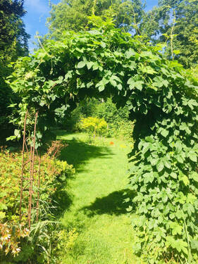 Bild8 - 