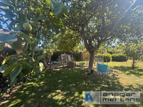 Gartenimpressionen - 