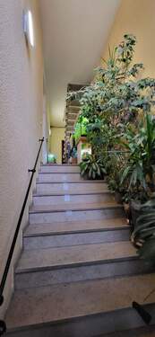 Treppenflur/Aufgang - 