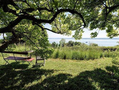 Garten (Sommer) - Mehrfamilienhaus, Wohnhaus mit 343,00 m&sup2; in Meersburg zum Kaufen