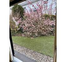 HERZOGPARK - luxuriöse 2-Zi-Wohnung mit Gartenterrasse, EBK, begehbarem Kleiderschrank uvm. - München Bogenhausen