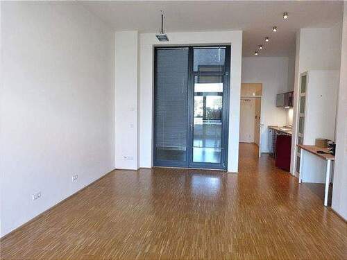 Wohnen-Essen-Schlafen - 1 Zimmer Terrassenwohnung zur Miete in Fürth