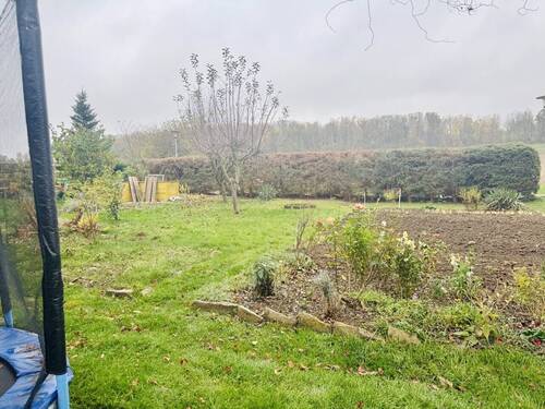 Garten / Baugrundstück - 