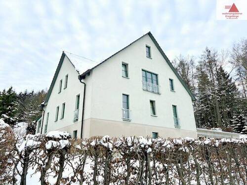 Hausansicht - Mehrfamilienhaus, Wohnhaus mit 342,00 m² in Gornau/Erzgebirge zum Kaufen