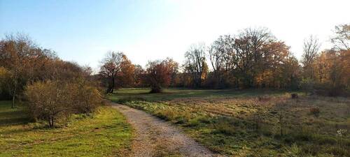 Wiesengrund direkt unterhalb - 