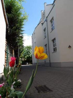 Ansicht - 2 Zimmer Etagenwohnung zur Miete in Markkleeberg