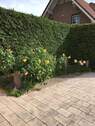 Gartenansicht - 