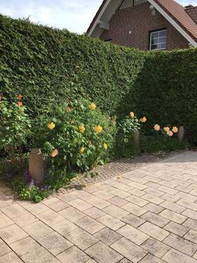 Gartenansicht - 