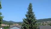 Aussicht - 