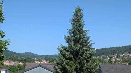 Aussicht - 
