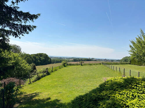 hinterer Garten - 
