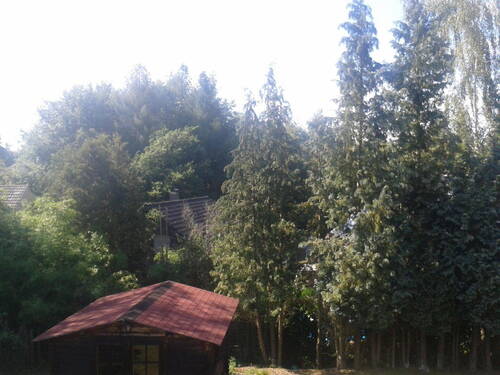 Bild 6 - 