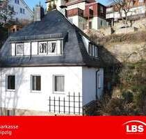 Ehemalige Weinbergterrasse - Leben pur! - Dresden Naußlitz