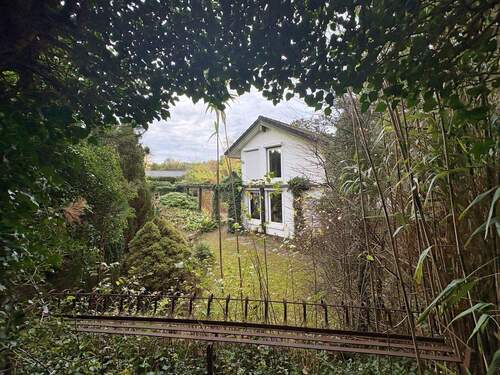 Gartenimpressionen - 