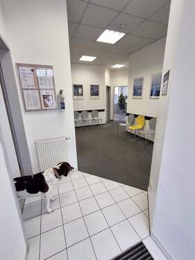 Die Räumlichkeiten - 