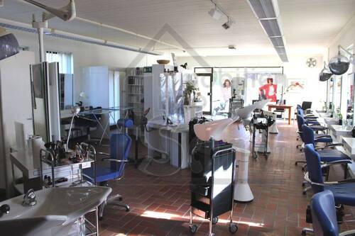 Salon - 