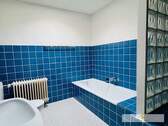 Dusch-Wannen-Bad mit Lichtkuppel - 