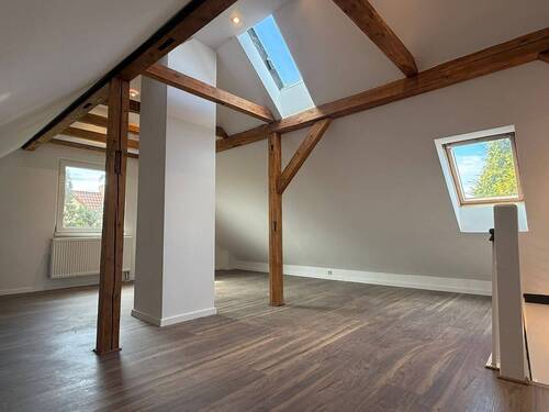 Dachstudio - 