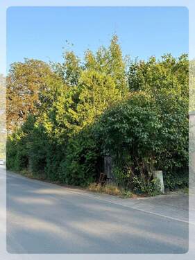 Mühlenbeck-Mönchmühle - Baugrundstück - Grundstück zum Kaufen in Mühlenbecker Land