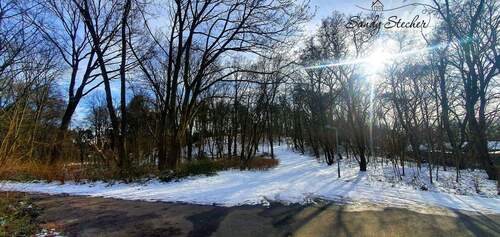 Volkspark Rehberge - 