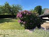 44292321_1-Garten an Terrasse.jpg - 