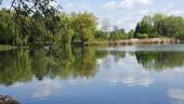 Schwanenteich Zwickau - 