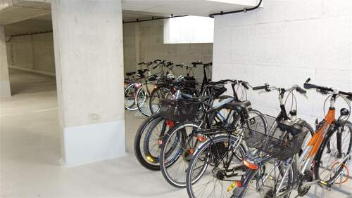 Stellplatz Fahrrad - 