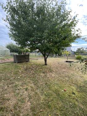 Bild 3 - Einfamilienhaus in Wildeck / Bosserode