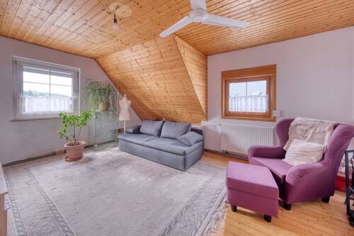 Zimmer DG 3 - 