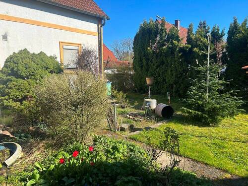 5 Garten neben dem Haus.jpg - 