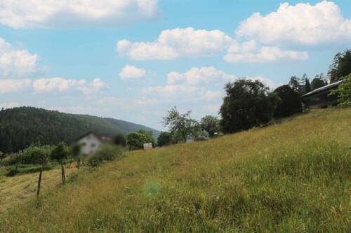 Grundstück von unten Bild 3 - 