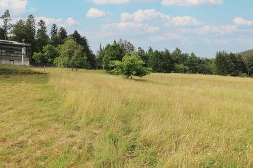 Grundstück von unten Bild 4 - 