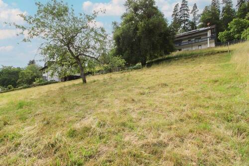 Grundstück von unten Bild 5 - 