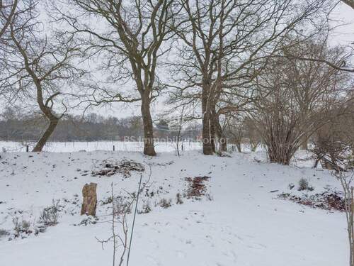 Bild 4 - Einfamilienhaus mit 172,70 m&sup2; in Uplengen / Neudorf zum Kaufen