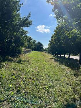 Blick von Westen - Grundstück in Leinzell zum Kaufen