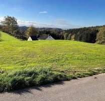 Baugrundstücke mit einer unverbaubaren Aussicht in Wißmannsdorf-Koosbüsch.