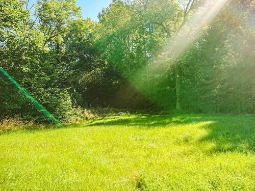 Waldidylle (1) - Grundstück zum Kaufen in Arnsdorf